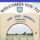Yobe State University Courses